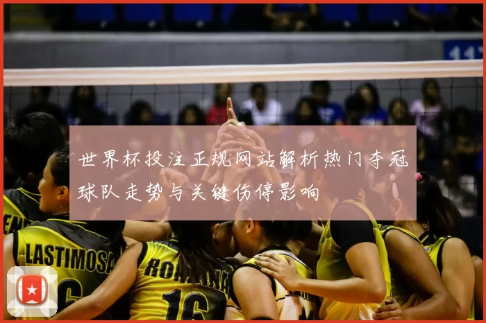 世界杯投注正规网站解析热门夺冠球队走势与关键伤停影响