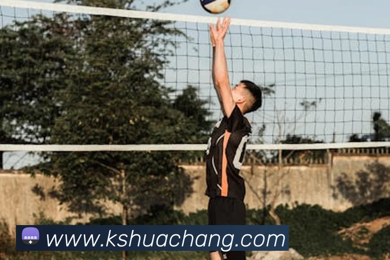 bsports网站登录·(中国)官网入口发展历程